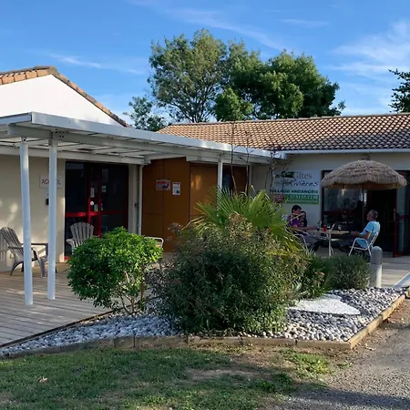 19 - Le Faucon - Village Mache